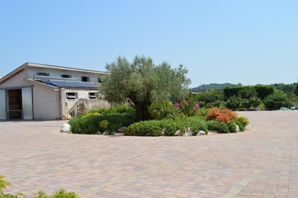 Agriturismo Ca' Del Gal Valeggio sul Mincio Exteriör bild