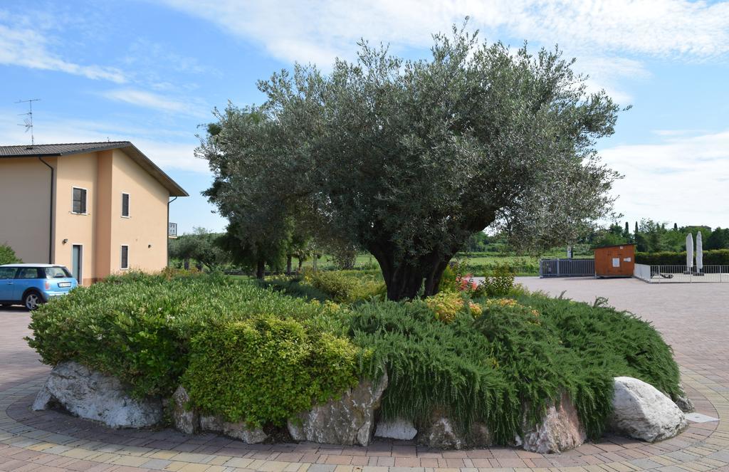 Agriturismo Ca' Del Gal Valeggio sul Mincio Exteriör bild