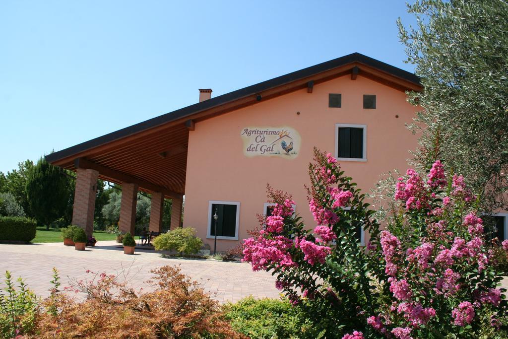 Agriturismo Ca' Del Gal Valeggio sul Mincio Exteriör bild